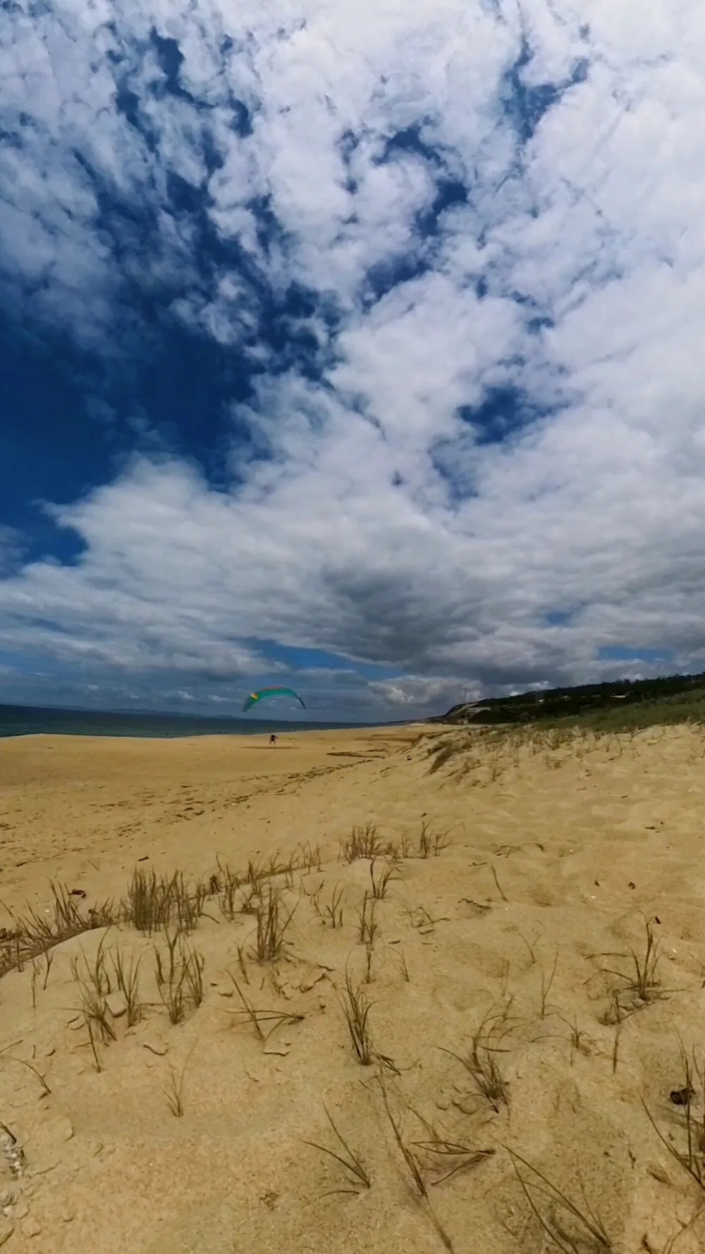 Alfarim beach seen from the top of a dune with tufts of marram grass; further off, on the sand, a pilot with a green and blue wing inflated overhead, the sea on the left and the dune line on the right, under a sky of high cloud.